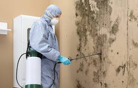 Best Environmental Consulting for Mold Prevention  in East Point, GA